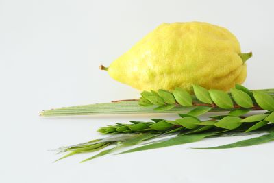 חג סוכות